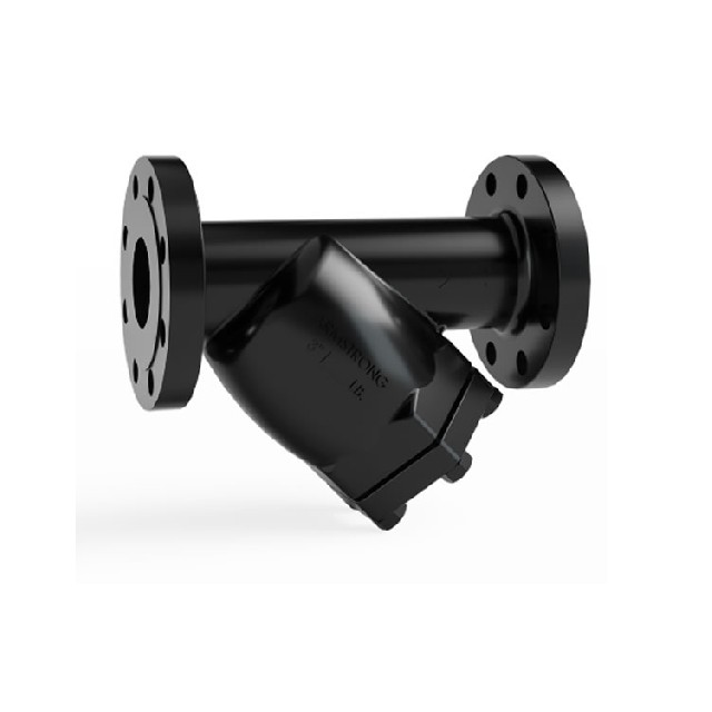 美國(guó)armstrong A 系列 Class 250 法蘭式 Y 型過(guò)濾器